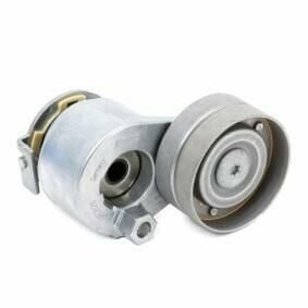 Megane 2-II Alternatör Gergi Rulmanı Komple 1.9 Dci F9Q 8200905328 -Ina