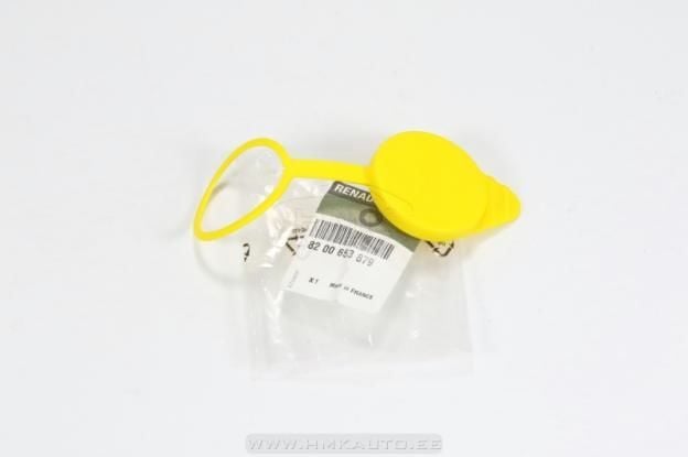 Master 3-III Cam Su Fiskiye Depo Kapağı (2010-2020) 8200653879 -Renault Mais