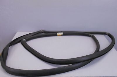 R9 Broadway R11 Flaşh Arka Cam Lastiği Fitili 7702188162 -Standard Profil