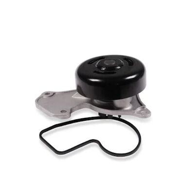 Taliant Sandero 3-III Devirdaim (Su Pompası) 1.0 Sce B4D 210102662R -Renault Mais